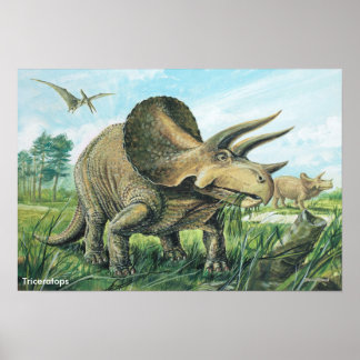 Triceratops Poster