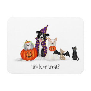 Trick ou trata? Íman de fantasias de Halloween