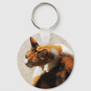 Tricolor Cat Chaveiro