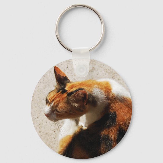 Tricolor Cat Chaveiro (Frente)