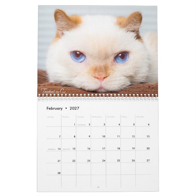 Trident 2017 o calendário do gato (Fev 2027)