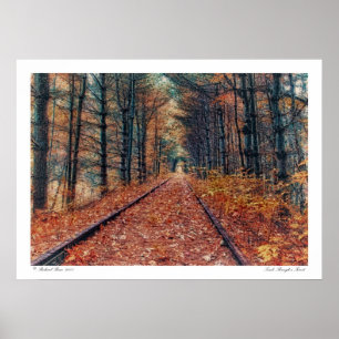 Trilha através de um poster da floresta