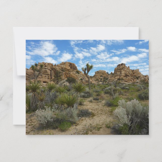 Trilha de Barker Dam Loop no Parque Nacional de Jo (Frente)