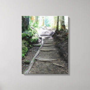 Trilha na floresta do Mt Rainier Canvas Print