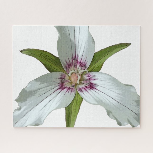 Trillium Primavera Wildflower Quebra-cabeça pintad (Horizontal)