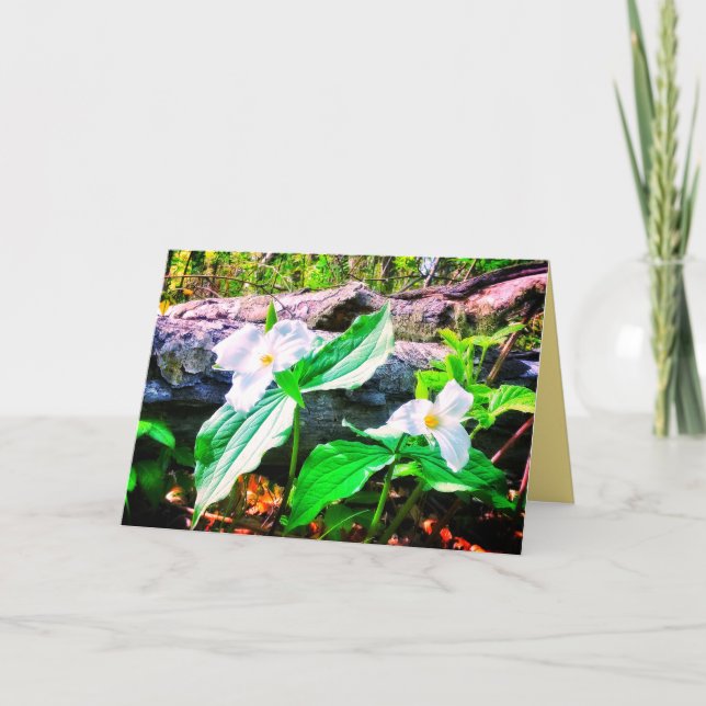 TRILLIUMS BRIGHT GREEETING CARTÃO (Frente)