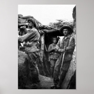 Trinchos de pínus solitários, Poster de Gallipoli