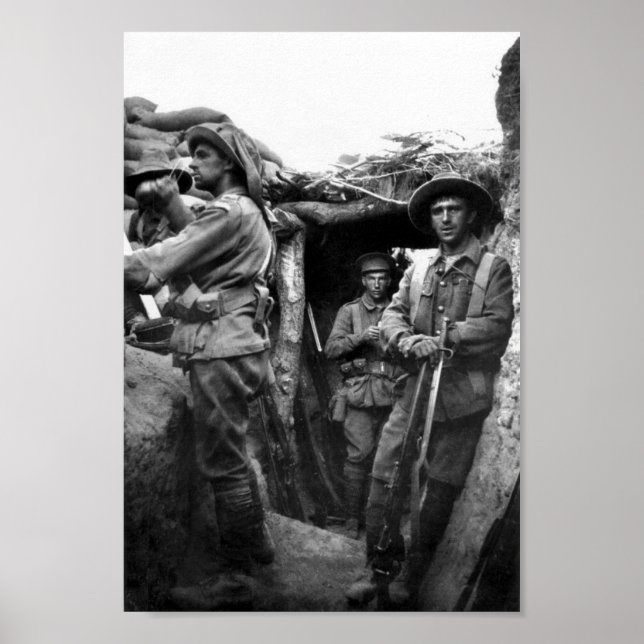 Trinchos de pínus solitários, Poster de Gallipoli (Frente)