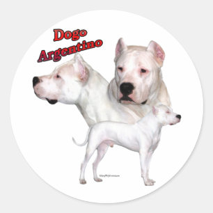 Trio 2 de Dogo Argentino - etiqueta