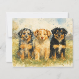 Trio de Pastores Australianos em Aquarela em um Ca