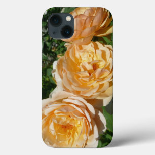 Trio de Rosas de Pêssego Floral