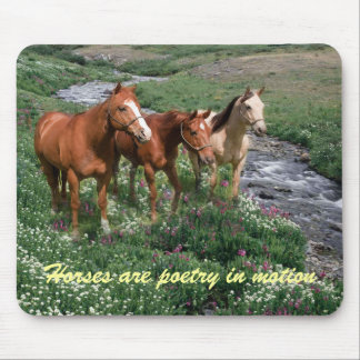Trio Mousepad do cavalo