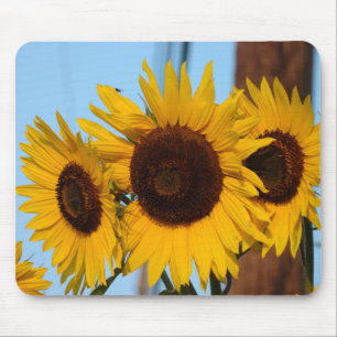 Trio Mousepad do girassol