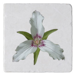Trivet de Primavera de Flor Selvagem Pintado