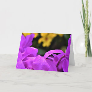 Trocas de chuva, cartão