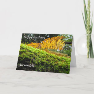 Tronco de Árvore em Moss Lush - Cartão de Aniversá