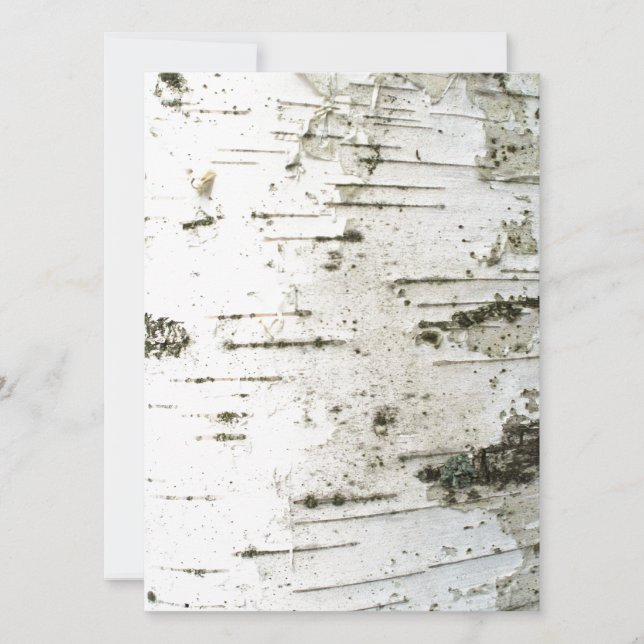 Tronco de passarinho (Frente)