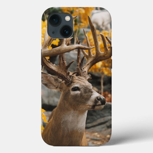 Trophy Deer (Verso)
