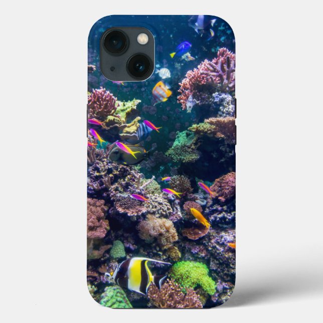 Tropical Beaches | Underwater Coral Reef (Verso)