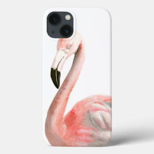Tropical Flamingo Bird