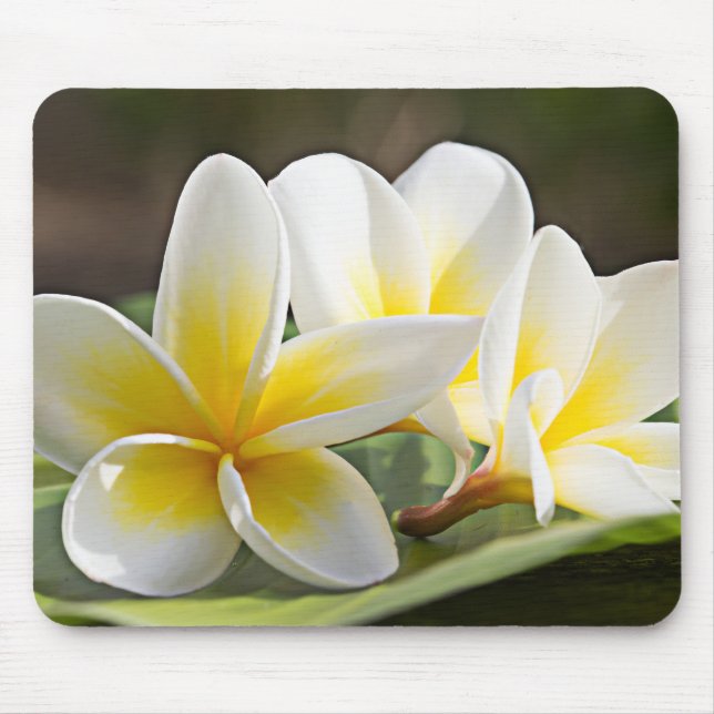 Tropical Flowers Mouse Pad (Frente)