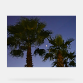 Tropical Palm Tree Wall Art Twilight Coastal