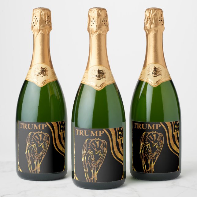 TRUMP 2024 (Garrafas)