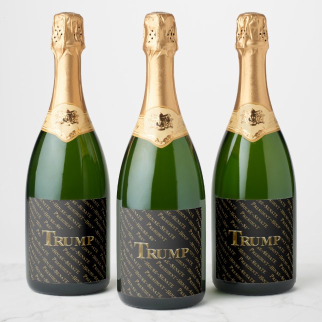 TRUMP 2024 (Garrafas)