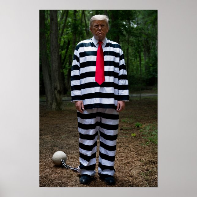 Trump Jail Poster (Frente)