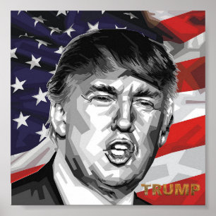 Trump Poster