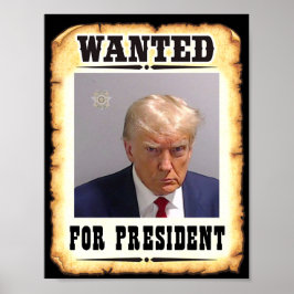 Trump Queria O Presidente Poster