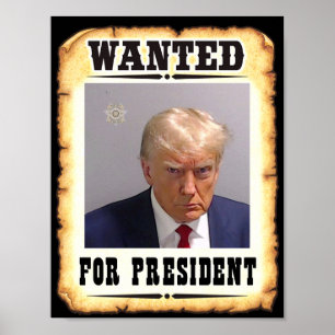 Trump Queria O Presidente Poster