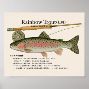 Truta Arco-Íris – Impressão de Arte Japonesa