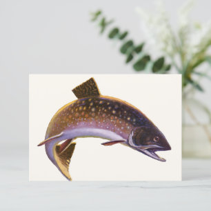 Truta-de-brook, Peixe, Desporto Vintage Pescador d