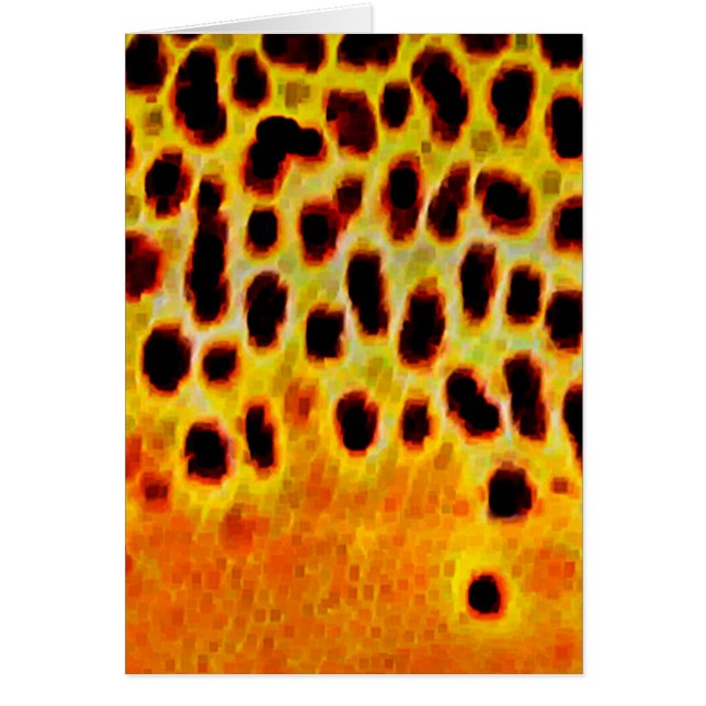 Truta de Brown - cartão (Frente)