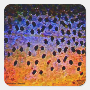 Truta de Cutthroat - Autocolantes