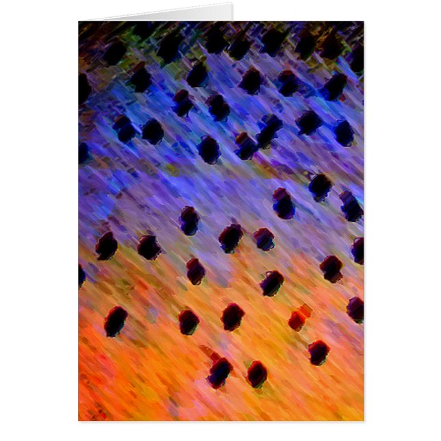 Truta de Cutthroat - cartão (Frente)