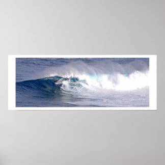 Tubarão com G.M. Waterman - Poster