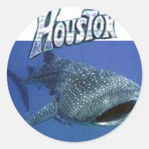 Tubarão de baleia com nome de Childs nas etiqueta