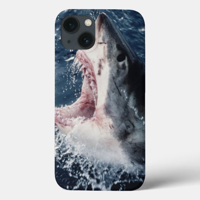 Tubarão elevado com a boca aberta (Verso)