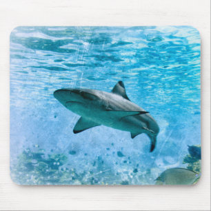 Tubarão Mousepad do vintage