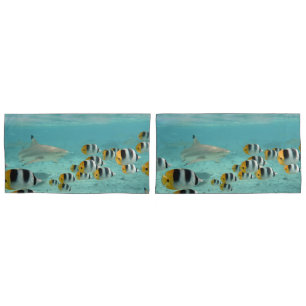 Tubarão que persegue peixes na lagoa tropical de