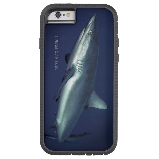 Tubarão-recife-cinza na Micronésia Yap (Verso)