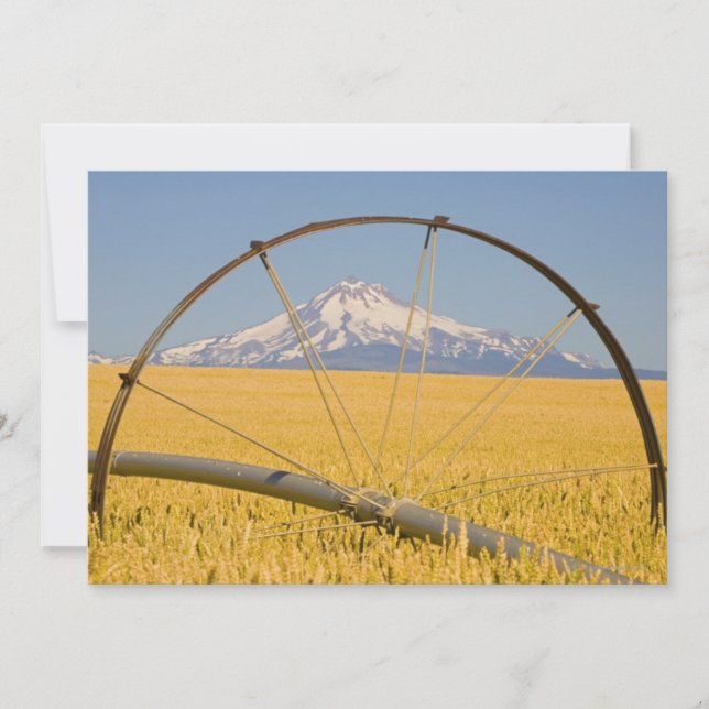 Tubo de irrigação no campo (Frente)