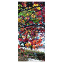 Tudo Brilhante e bonito favorito