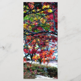 Tudo Brilhante e bonito favorito