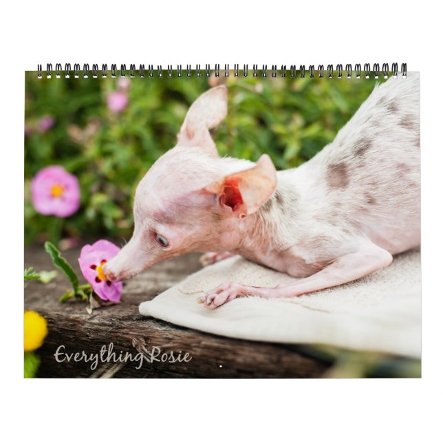 Tudo calendário de Rosie (Capa)