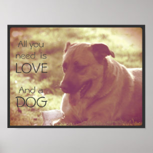 Tudo que você precisa é amor e Poster de cachorr