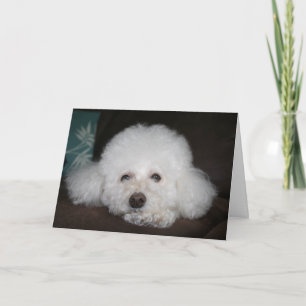 Tudo vai ficar bem Cartão de Cachorro