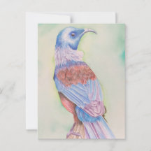 Tui - cartão postal
